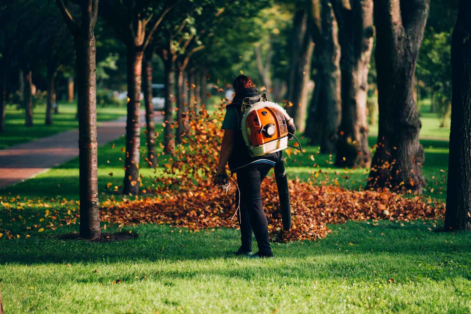  , SD TreeGuard Tree Service Pros